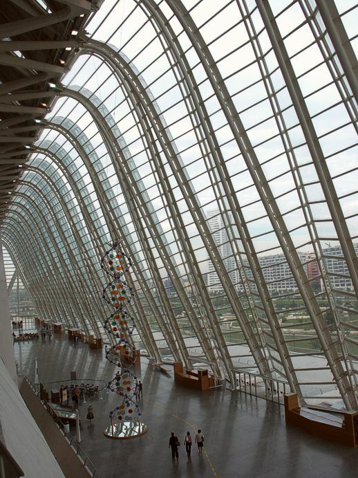 Click to See Next Image